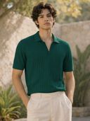 Green color option, Currently selected
