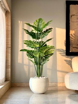 Mason Home - Artificial Tropical Monstera Plant - 5 Feet (Without Pot)