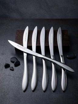 BlackCarrot - 304 Food Grade Stainless Steel Dinner Silver Mirror Table Knife (Pack of 6)