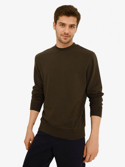 Rare Rabbit - Foy Olive Plain Sweatshirt