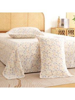 Story@Home - 240 TC King Bedsheet with 2 Pillow Covers - Cream & Blue