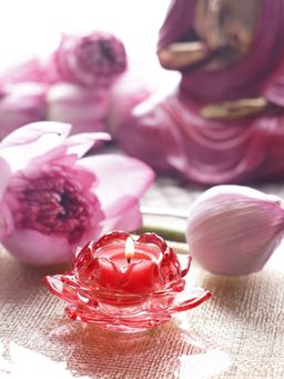 Pure Home + Living - Red Glass Lotus Shaped Tealight Holders (Pack of 3)