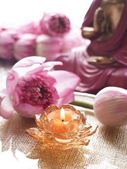 Pure Home + Living - Light Amber Glass Lotus Shaped Tealight Holders (Pack of 3)