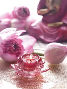 Pure Home + Living - Rose Glass Lotus Shaped Tealight Holders (Pack of 3)