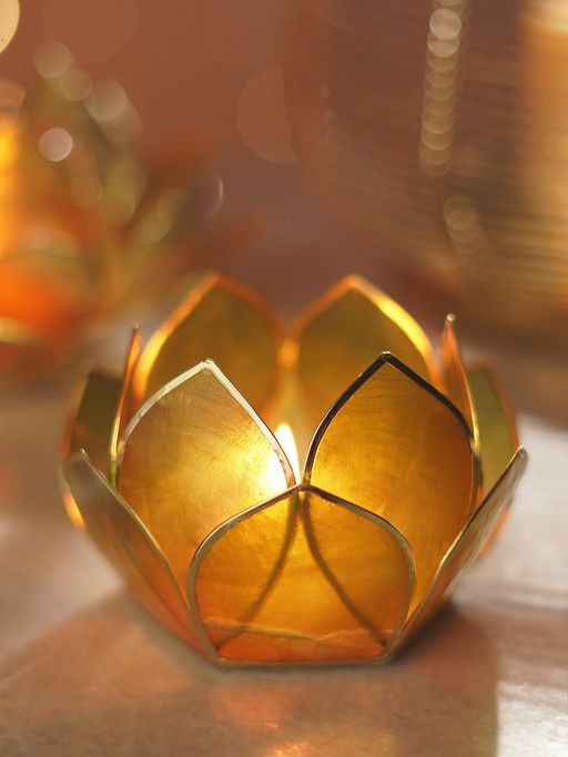 Pure Home + Living Amber & Green Ombre 12 Petals Capiz Tealight Holder