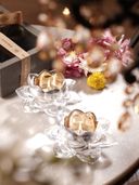 Transparent color option, Currently selected