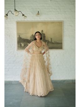 Meenagurnam - Ivory Net V-neck Embellished Lehenga with Blouse and Dupatta
