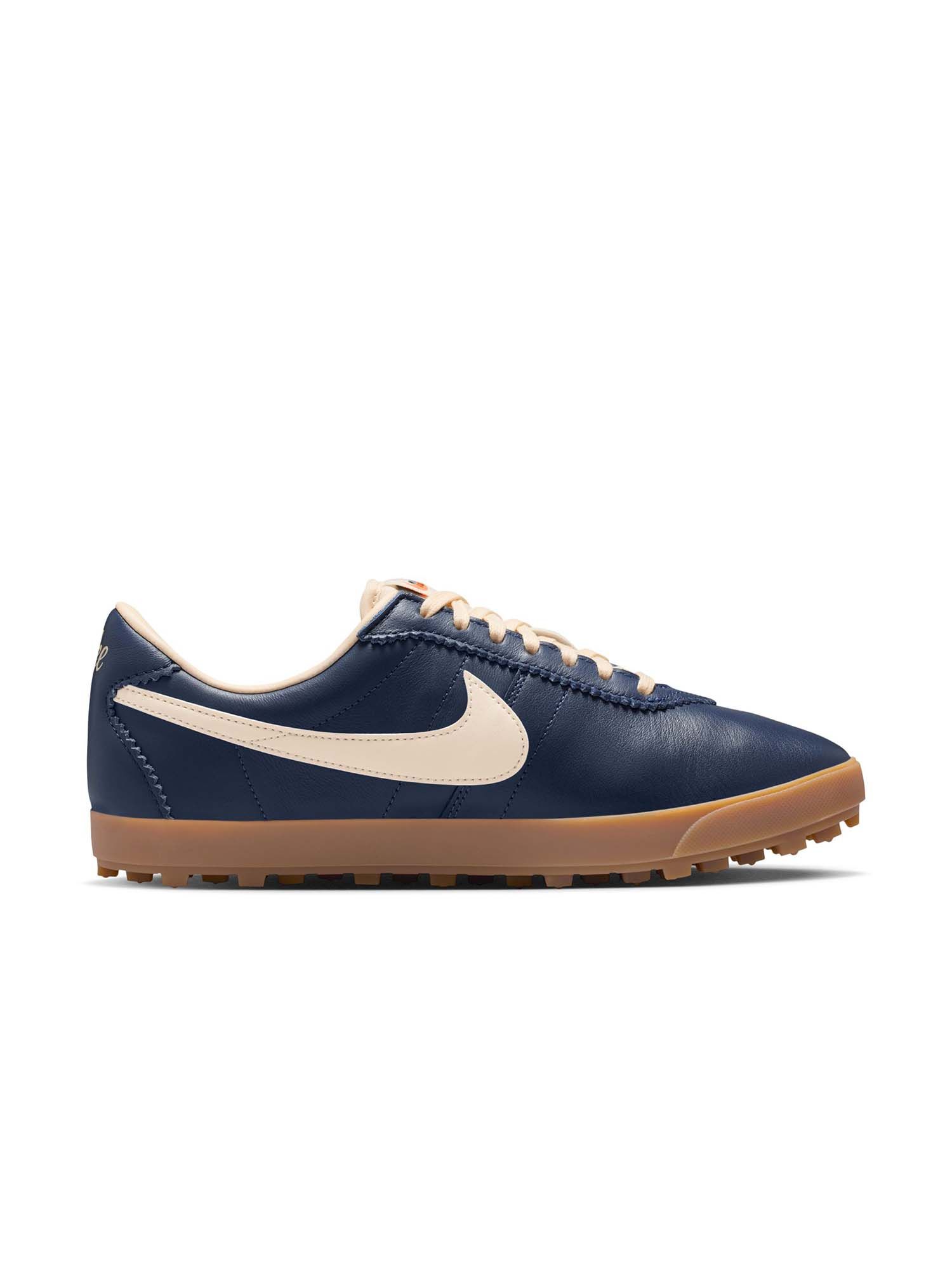 Buy Nike Women Nike Astrograbber Leather Sneakers Online