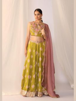Myoho - Green Block Printed Hand Embroidery Lehenga and Choli with Dupatta