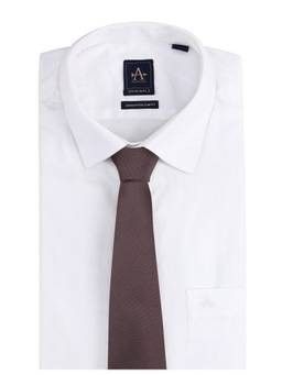 Arrow - Mens Solid Tie Brown