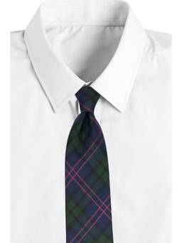 The Tie Hub - Navy Green Silk Tie For Men Elegant Tartan Plaid Formal Necktie