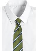 Green color option, Currently selected