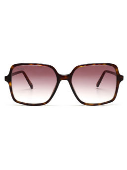 Scott Sunglasses - Brown Lens Square Sunglass Full Rim Brown Frame - Scott 10009 Stella C2 55 S
