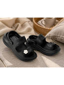 Black color option
