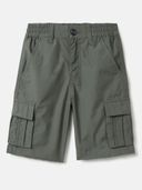 Olive color option, Currently selected