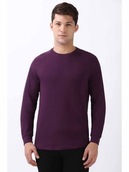 Peter England - Men Purple Solid Round Crew Neck Round Neck T-Shirts