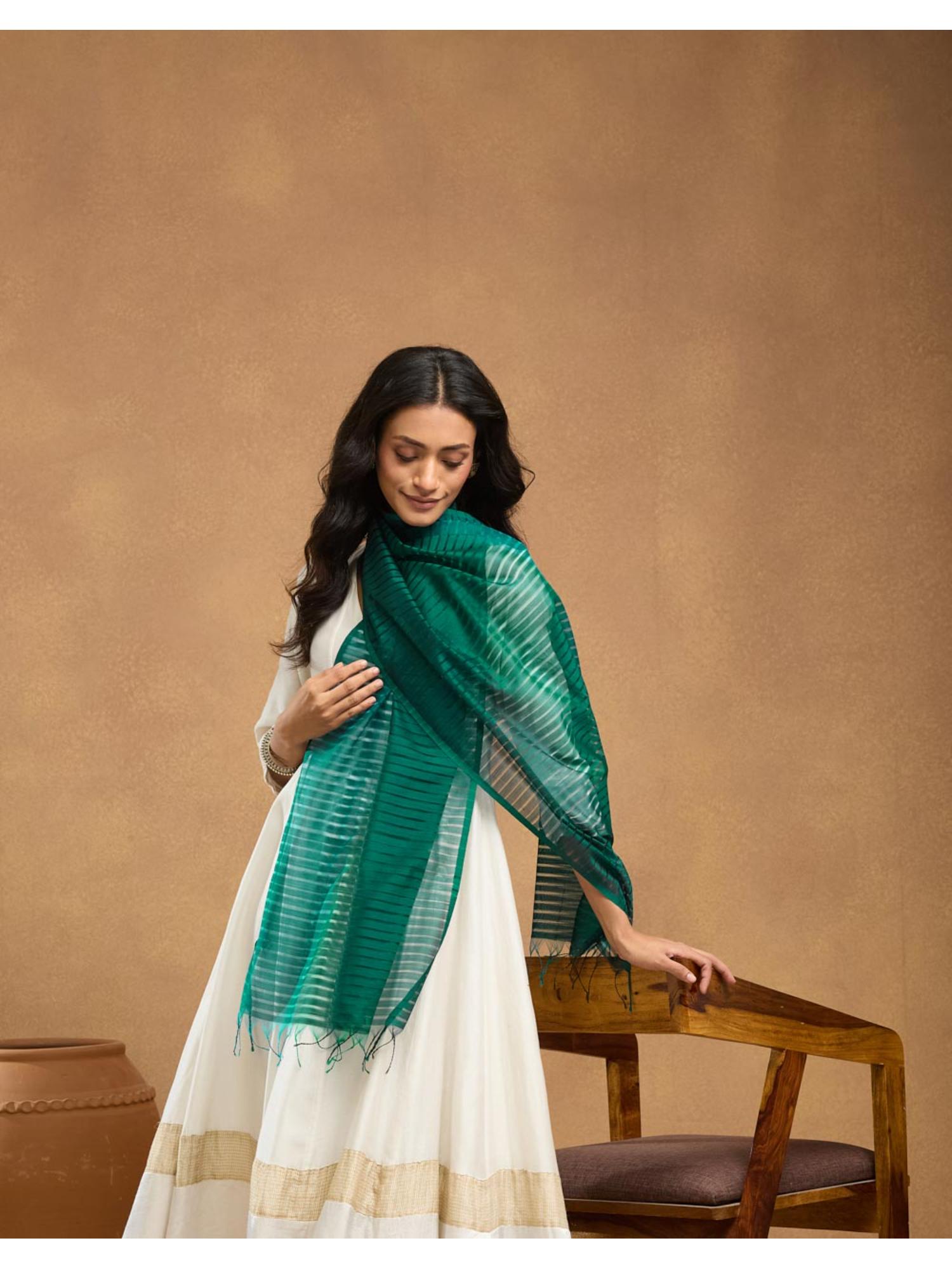 Turquoise Cotton Silk Maheshwari Stole-image-25