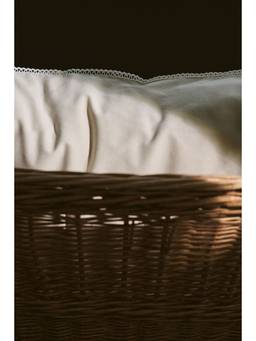 H&M - Beige Embroidery-Detail Cotton Pillowcase