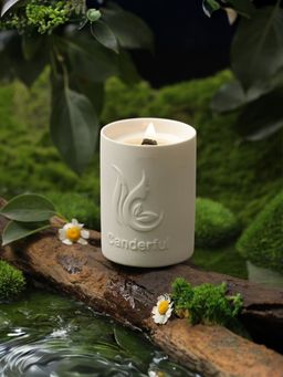 The Better Home - Wild Peach Bush Fragnance Candle