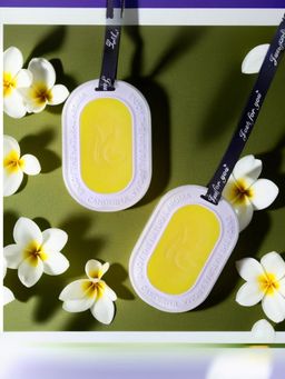 The Better Home - Lemon Zest Wardrobe Air Freshener (2Pcs)