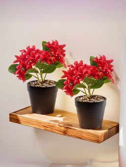 The Better Home - Red Trident Flowers with Pot (Pack of 2)