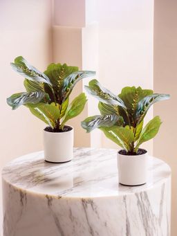 The Better Home - Artificial Plant with Pot (Pack of 2)