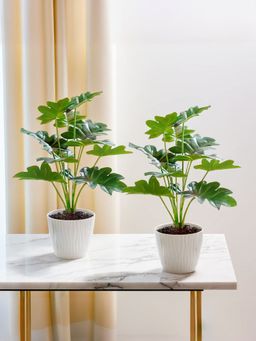 The Better Home - Artificial Plants with Pot (Pack of 2)
