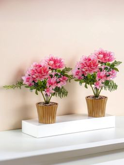 The Better Home - 9 Headed Pink Dahlia Flower Plant with Pot (Pack of 2)