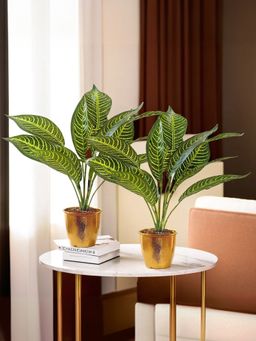 The Better Home - Artificial Plants with Pot (Pack of 2)