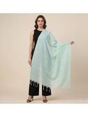 Aqua color option, Currently selected