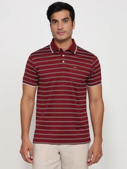 ColorPlus - Regular Fit Striped Dark Maroon Polo T-Shirt