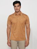 Brown color option, Sold out, Currently selected