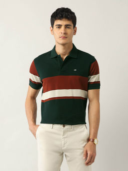 Arrow Sports - Men Green Colorblock Regular Fit Polo T-shirt