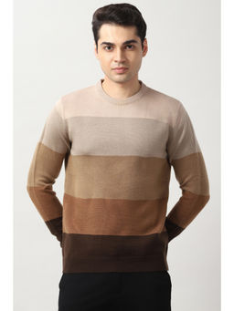 Peter England - Men Multi Color Stripe Crew Neck Sweater