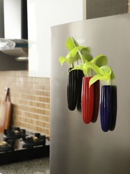 VarEesha - Greendoor Blue, Red and Black Oval Ceramic Magnetic Planters Set of 3