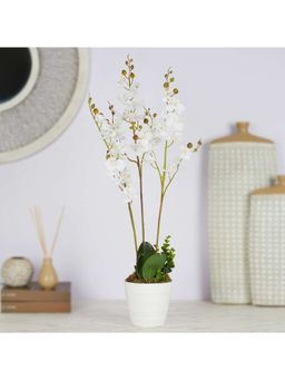 HomeTown - Ilana Artificial Orchid Potted Plant 60 cm In White Colour