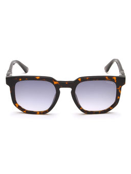 Police - Men Full UV Protected Grey Lens Square Sunglasses (52)