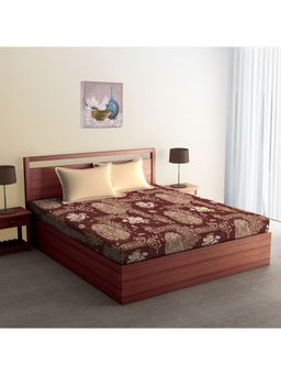 CORE Designed by SPACES - Seasons Best Premium Cotton Double Bedsheet-Brown
