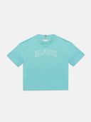 Turquoise color option, Currently selected
