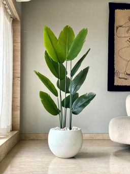 Mason Home - Artificial Lush Travellers Palm - 5 Feet