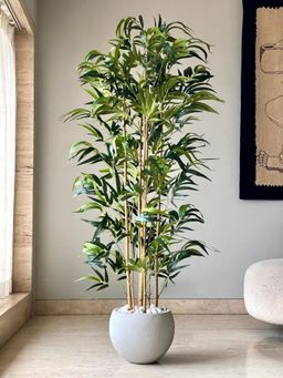 Mason Home - Artificial Lush Bamboo Plant - 5.5 Feet