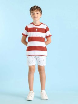 U.S. POLO ASSN. - Boys Rust Horizontal Striped Regular Fit T-shirt
