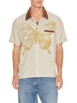 Ryoko Rain - Butterfly Pinstripe Men's Graphic Button-Down Shirt Beige