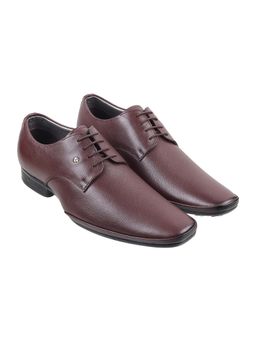 Mochi - Men Brown Formal Derbies