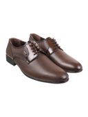 Brown color option, Sold out