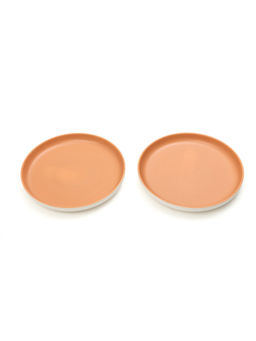 EZ Life - Pastel Shallow 10 Inch Ceramic Plate Sesame Series Matt Amber Dinnerware Pack Of 2