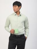 Green color option, Currently selected