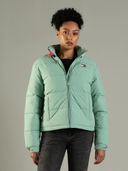 Green color option, Currently selected