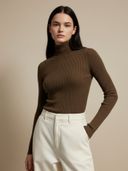 Brown color option, Currently selected