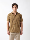 Brown color option, Currently selected